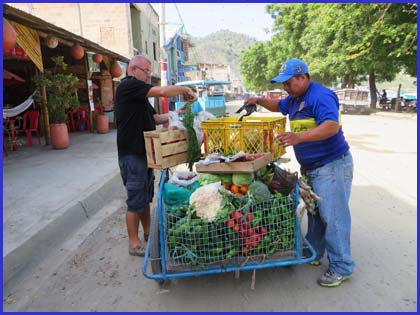 marchand de fruit ambulant equateur
